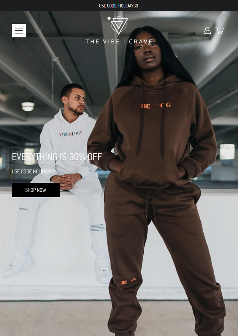 Shopify Expert e-commerce Store Setup & Design