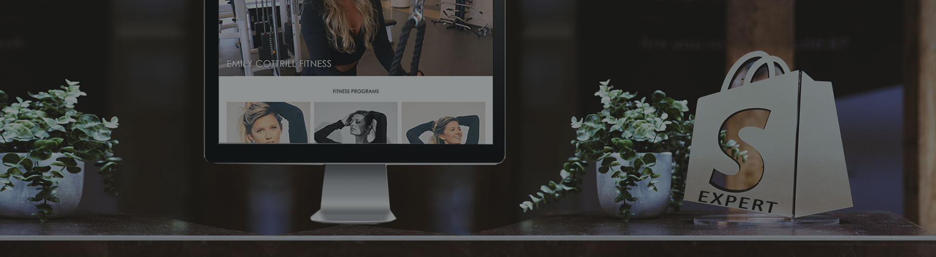 Studio 239 Design Shopify Expert