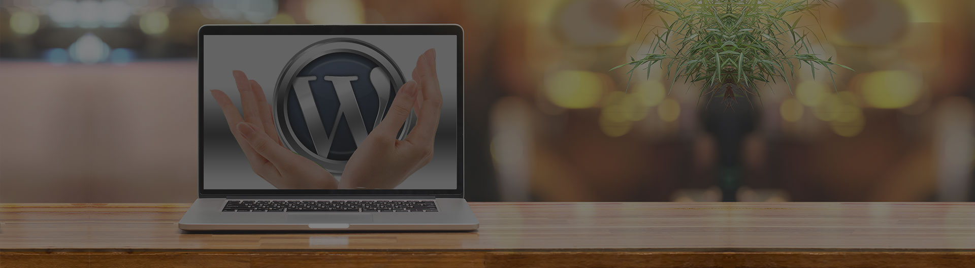 Studio 239 Design Wordpress Maintenance